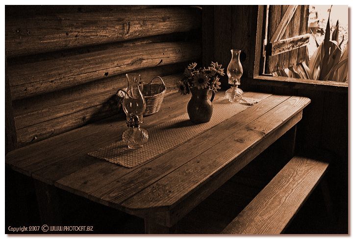 5th Place<br>Simple living<br>by © Cat