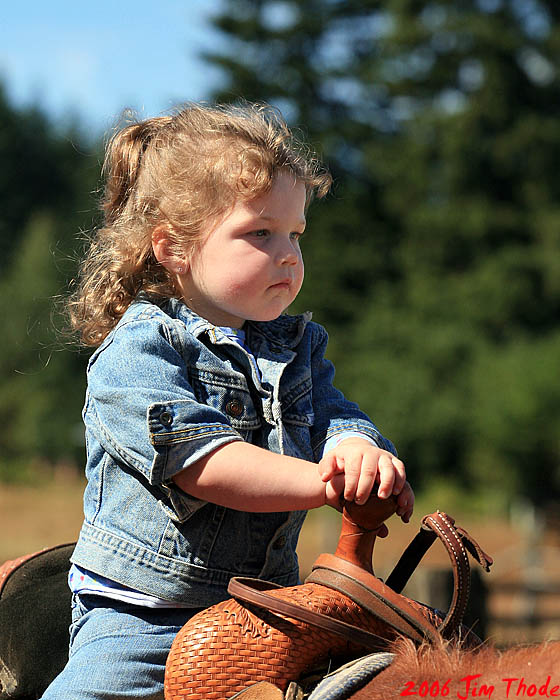 Cowgirl Furniture