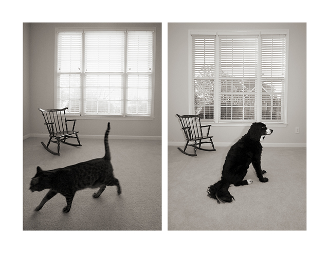 searching / waiting