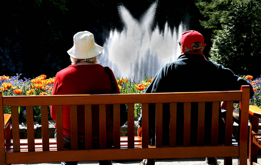 Fountain View