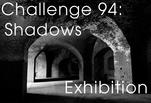 Exhibition Gallery