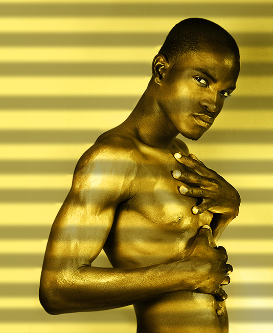 7th Place<br>Lorenzo<br>by Elena Kalis