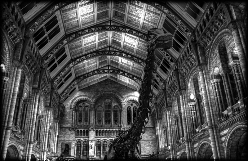 4th Place (tie)<br>Night at the Museum<br>by jnconradie