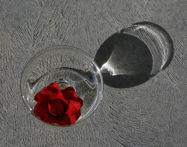 No Shadow for the Rose?