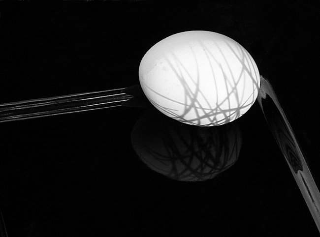  Shadowed Egg
