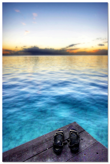 6th Place (tie)<br>Gone Swimming<br>by jnconradie