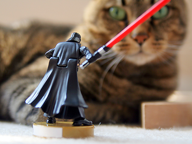 Darth vs Frankie