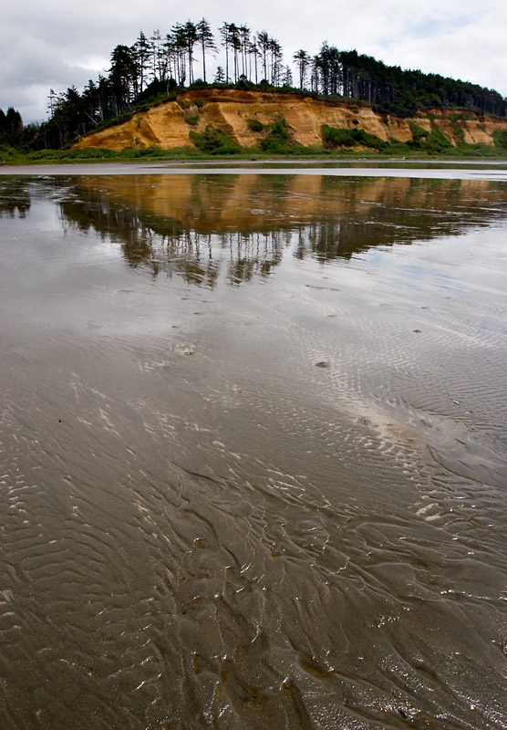 From the Oceans Edge