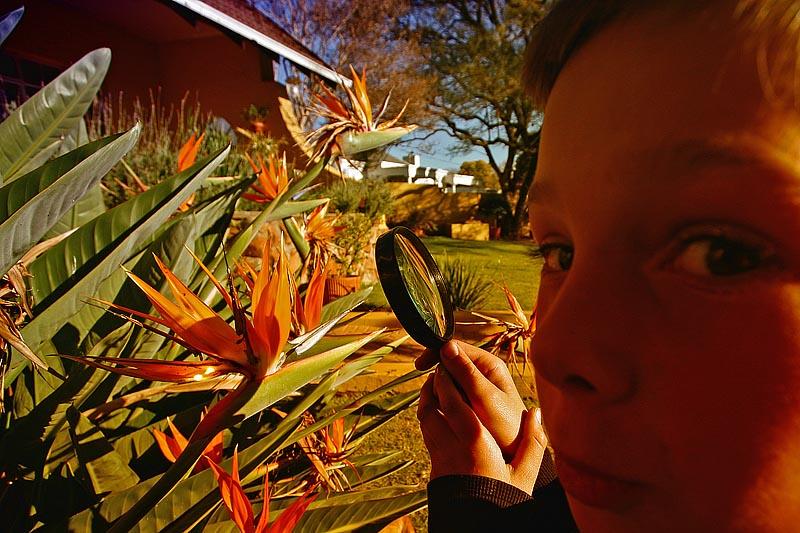Bug viewer