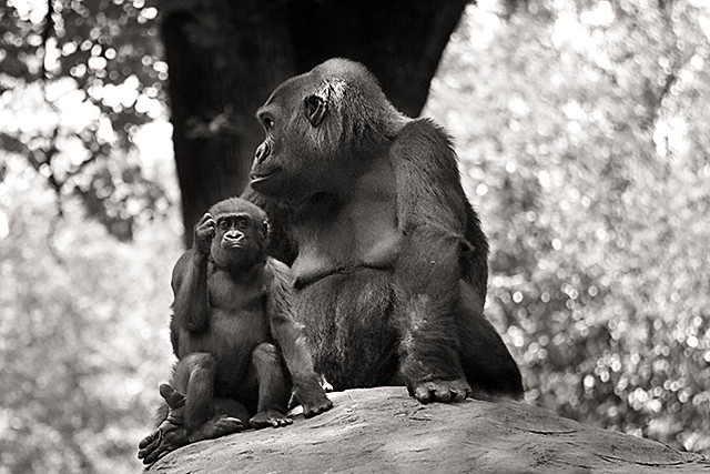 mother and child