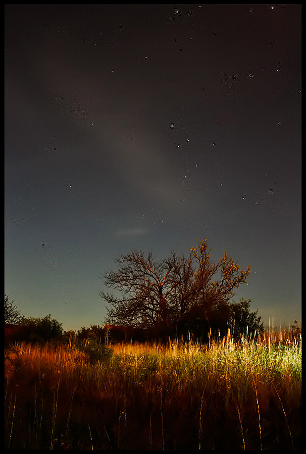 3rd Place<br>at full moon<br>by tomiboi