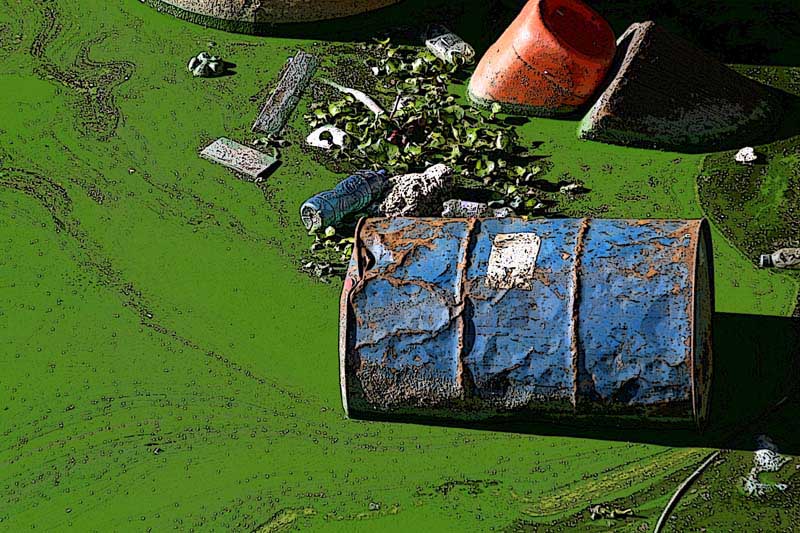 <i>Second Place</i><br><b>Floating to a different drum</b><br>by FarsideMichael