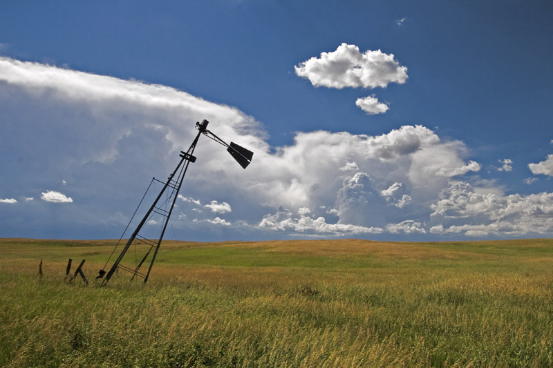 <i>Eighth Place</i><br><b>Leaning With the Wind</b><br>by Michael Shealy