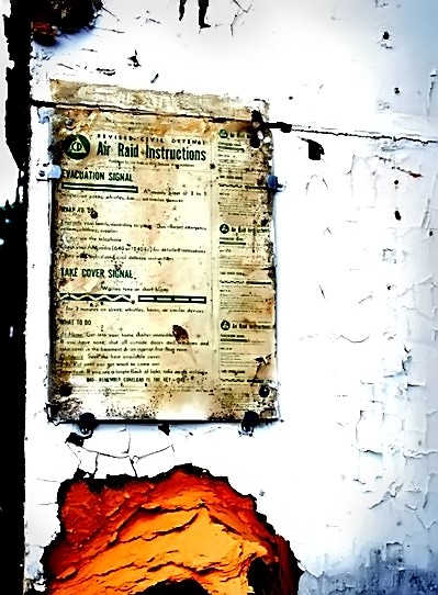 <i>Second Place</i><br><b>Radioactivity</b><br>by Mary Anne