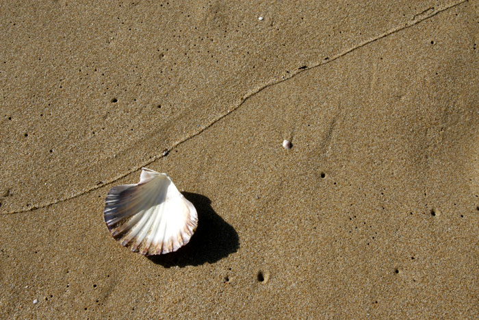 High Tide Line