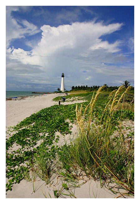 Beach*