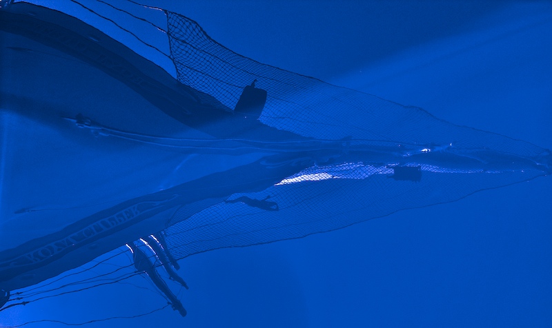 59