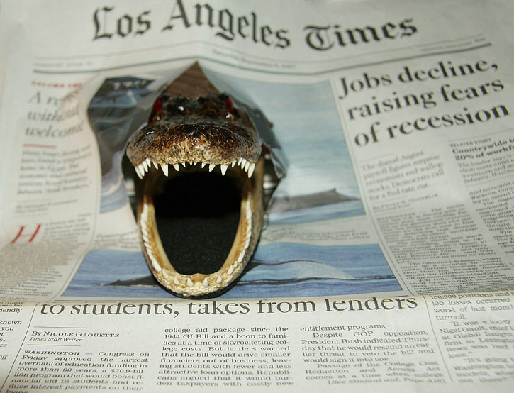 Some Mornings Im Afraid to Even Open the Paper
