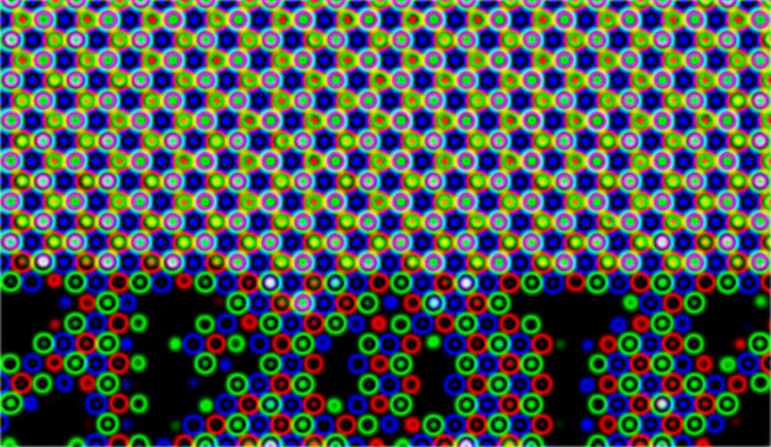 10th Place<br>SPOTS<br> by Victor Engel
