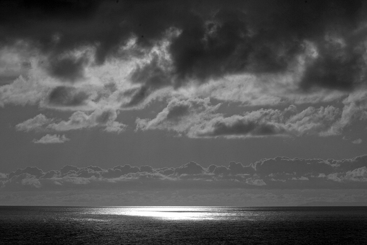 A Spot of Moonlight