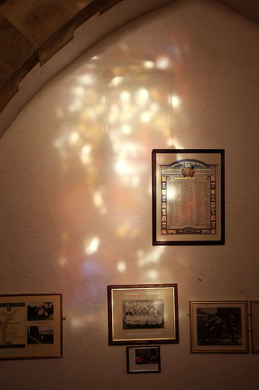 Dappled Light