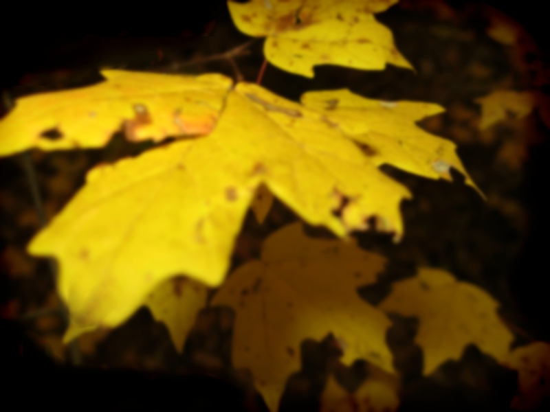 last autumn