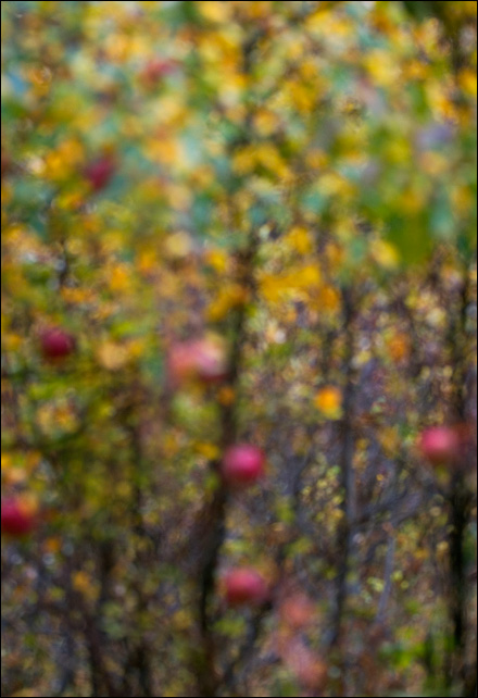 Juggling Apples