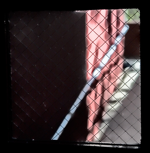Basement Door View