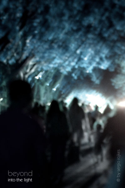 Fifth Place<br>beyond, into the light<br>by sergio rojkes