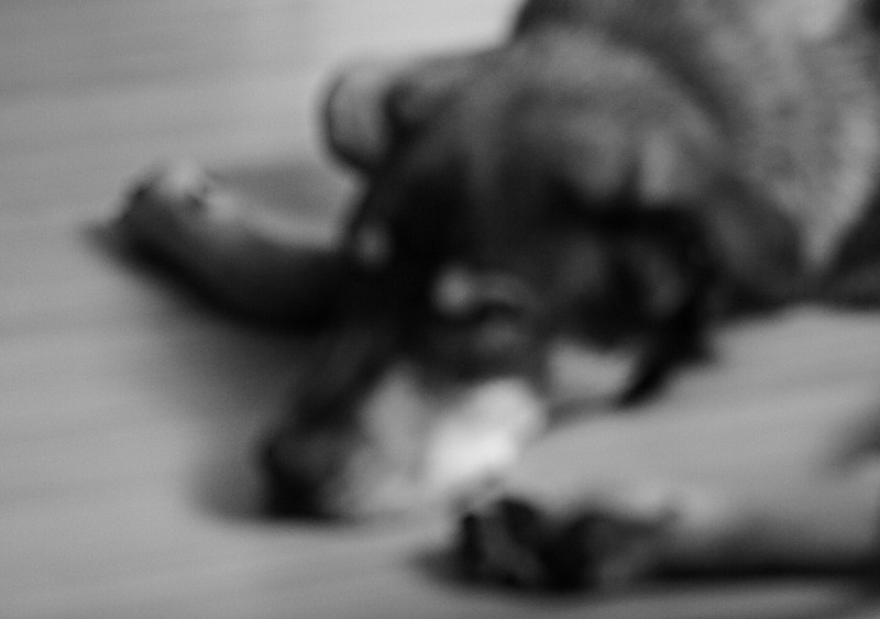 Untitled*
