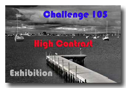  Exhibition Gallery Thumbnail