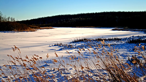 Frozen River