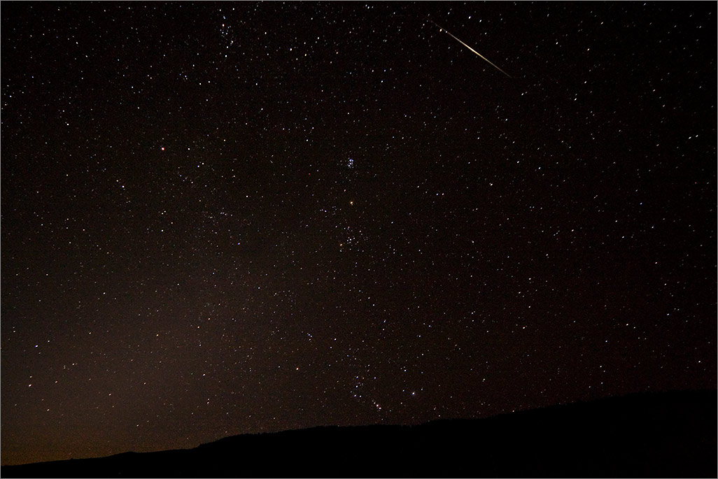 Perseid Meteor?