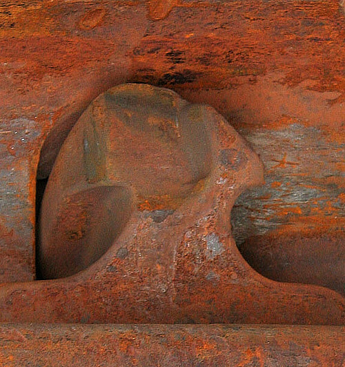Rail Car Coupling (Nursing Kitten)