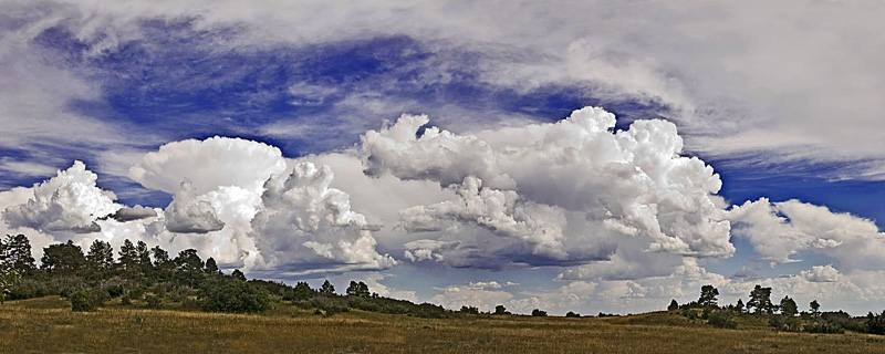 Home on the Range