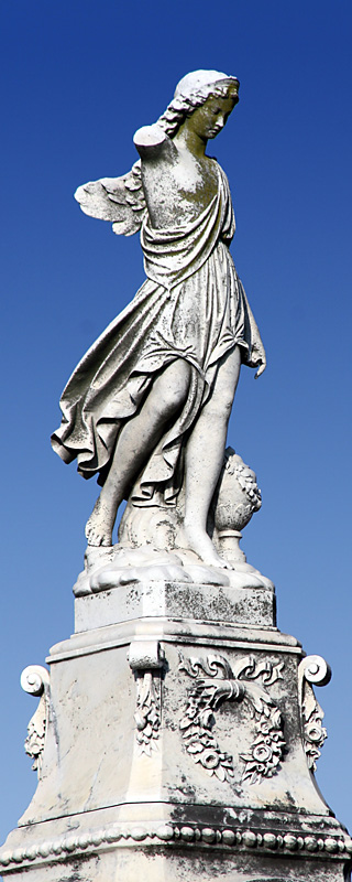 Broken Angel