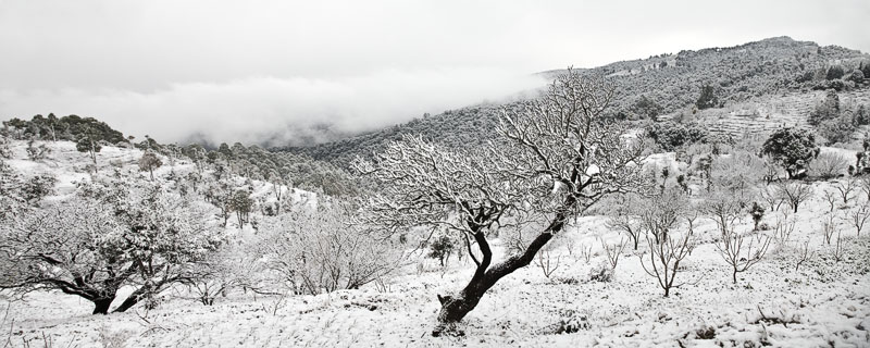 <b>A Winters Day</b>