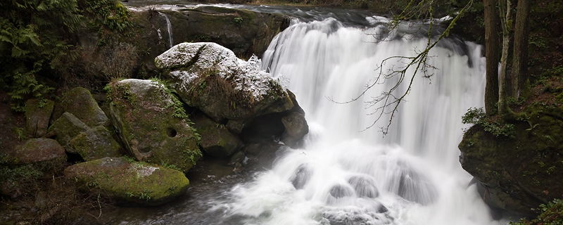 Whatcom Falls