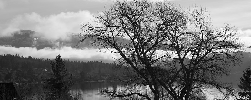 Fog-Shrowded Hills
