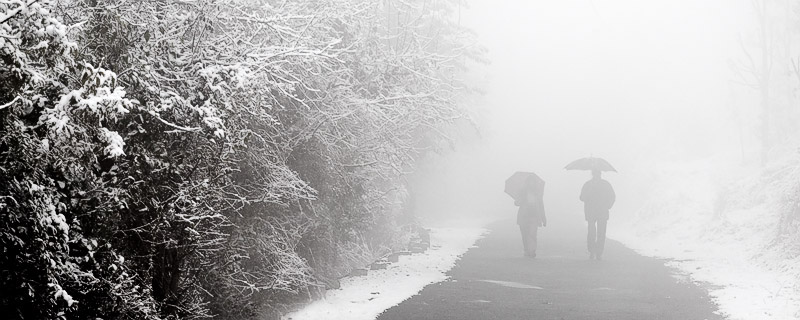 <b>Through the Mist</b>