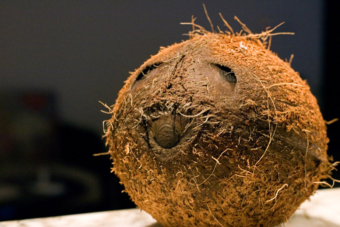 Im just a coconut!