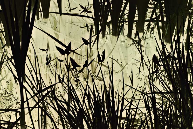 Light in the Water
