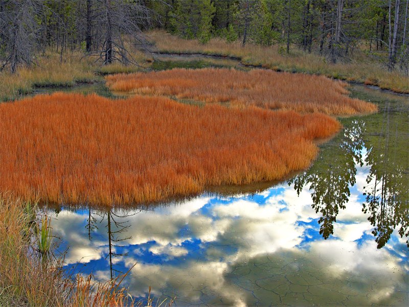 Morning Reflection