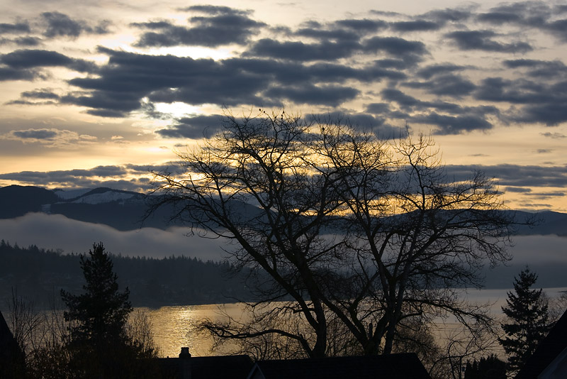 Morning View I