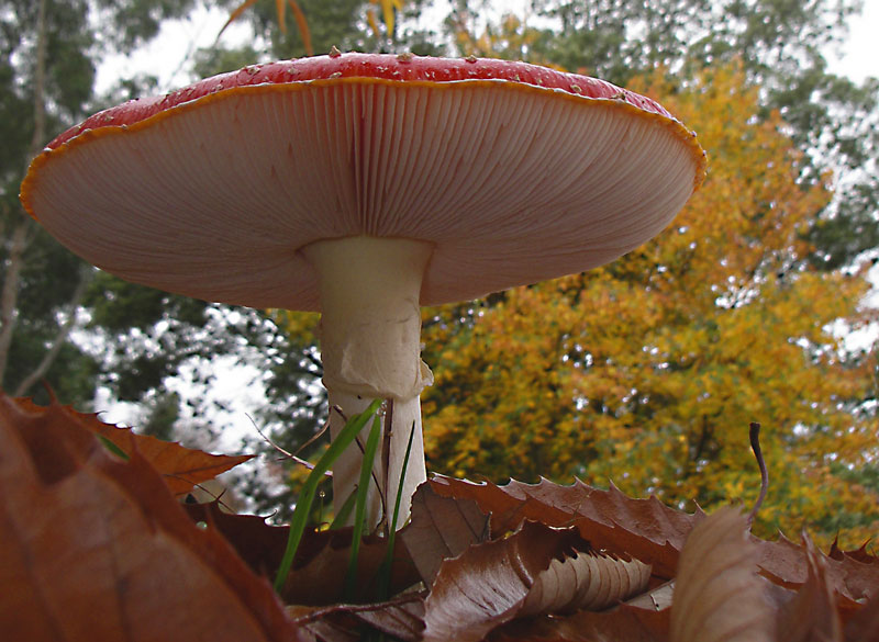 11th Place<br>Worms Eye View<br>by Julie Bird