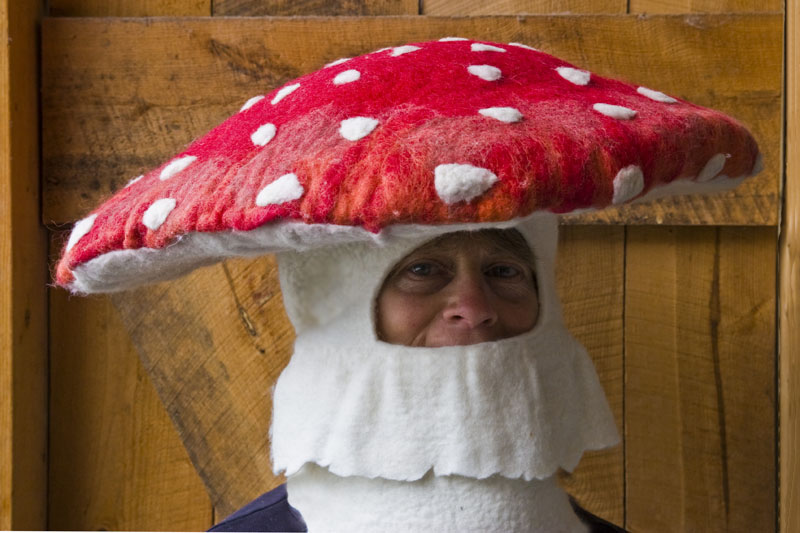 Mushroom Hat