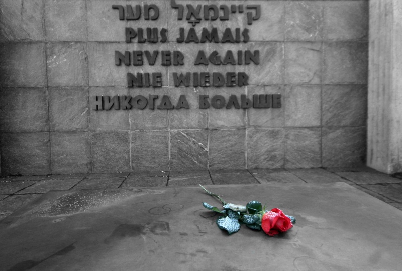 Never Again