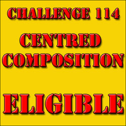Challenge 114: ELIGIBLE