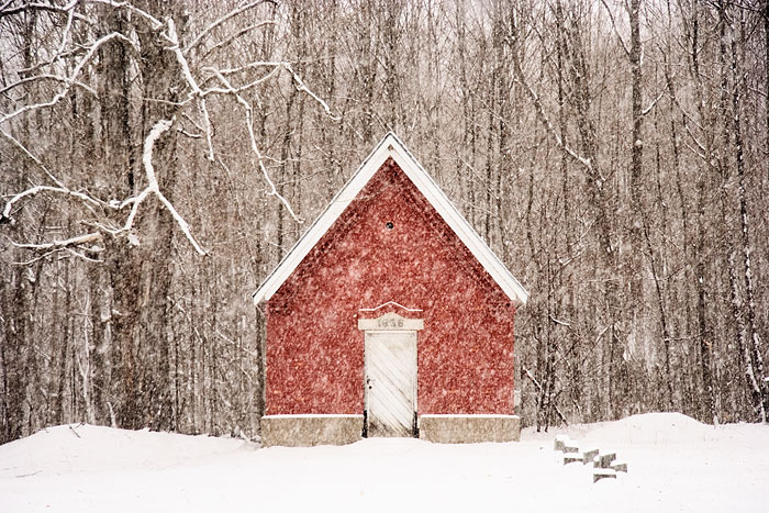 2nd Place<br>Snowy Day<br>by Elips