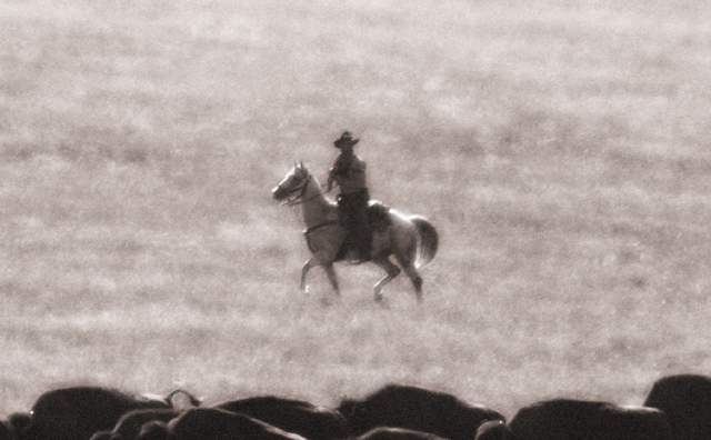 Cowboy